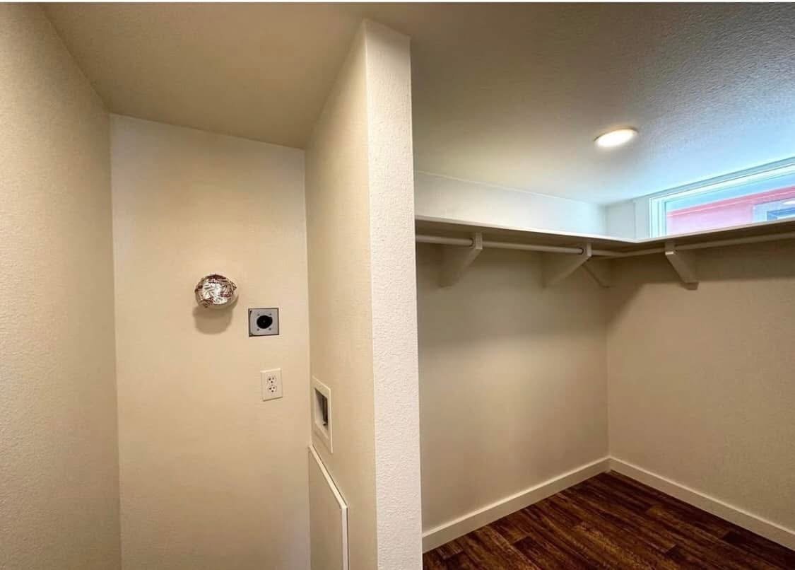 THE CARDINAL - Image 9