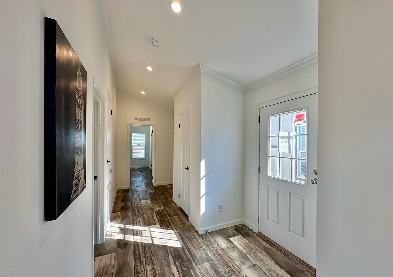 Newton XXL - Image 7