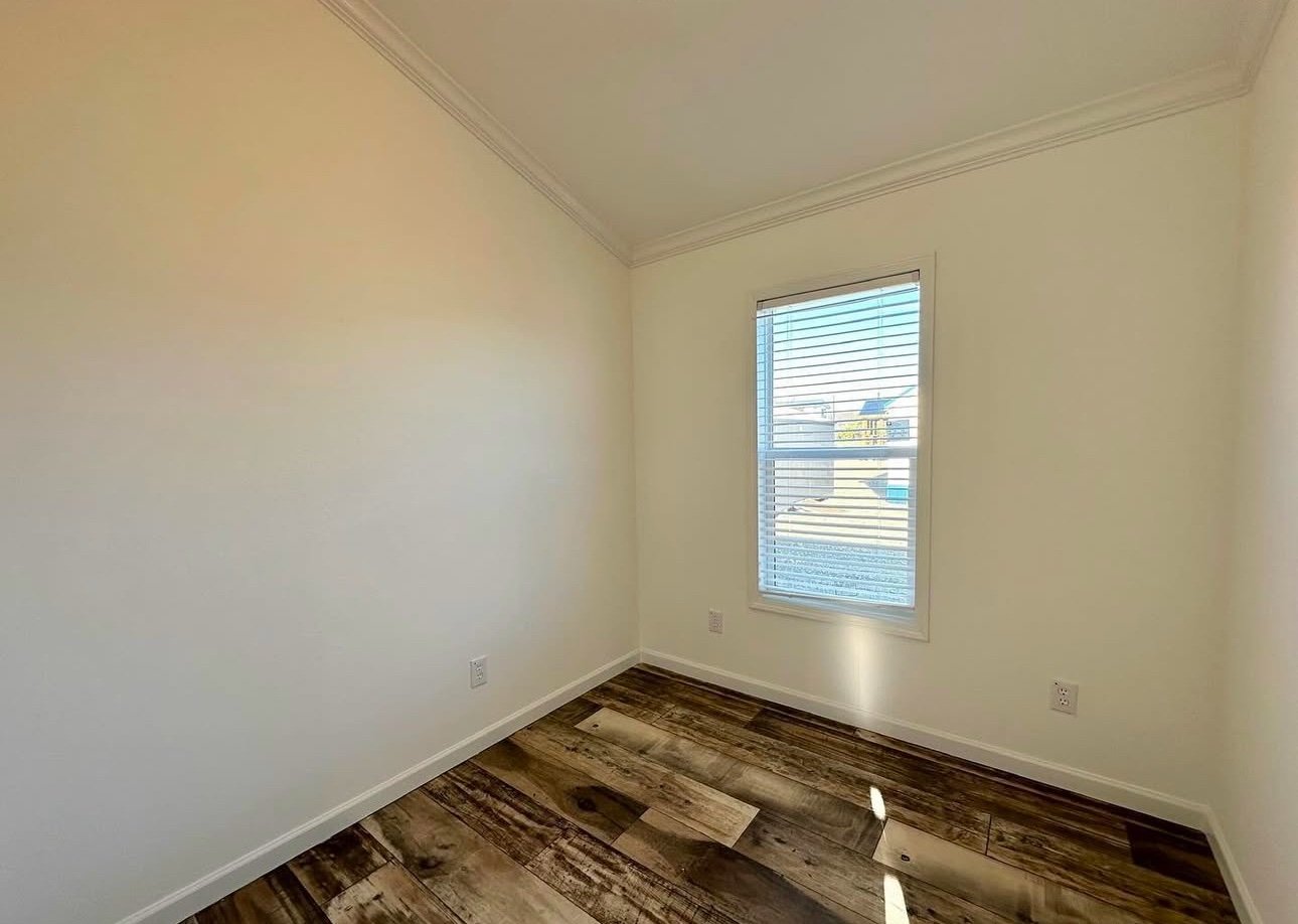 Newton XXL - Image 5