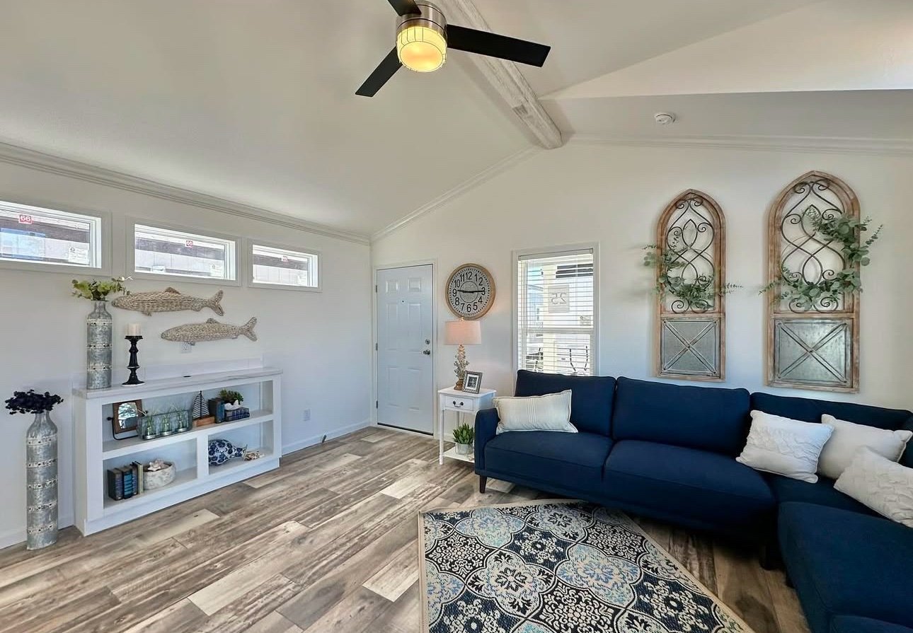 Newton XXL - Image 4